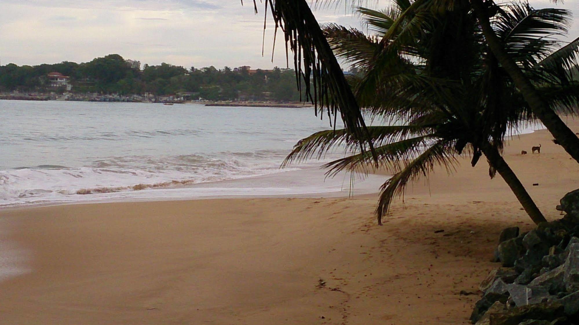 Gayana Guest House Kanattegoda Buitenkant foto